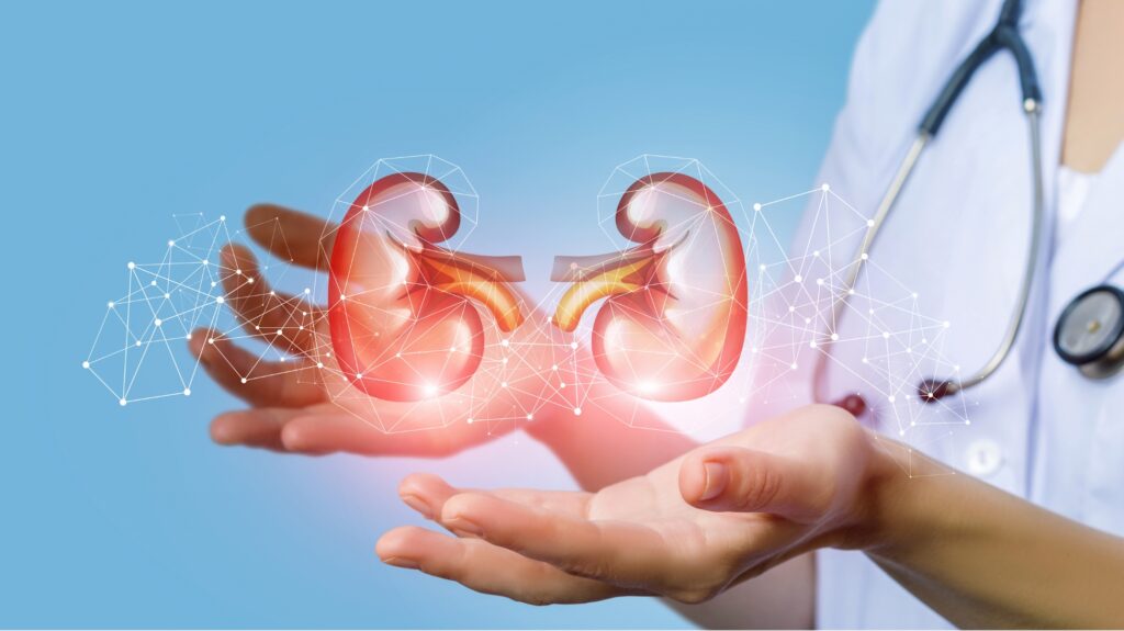 kidney health